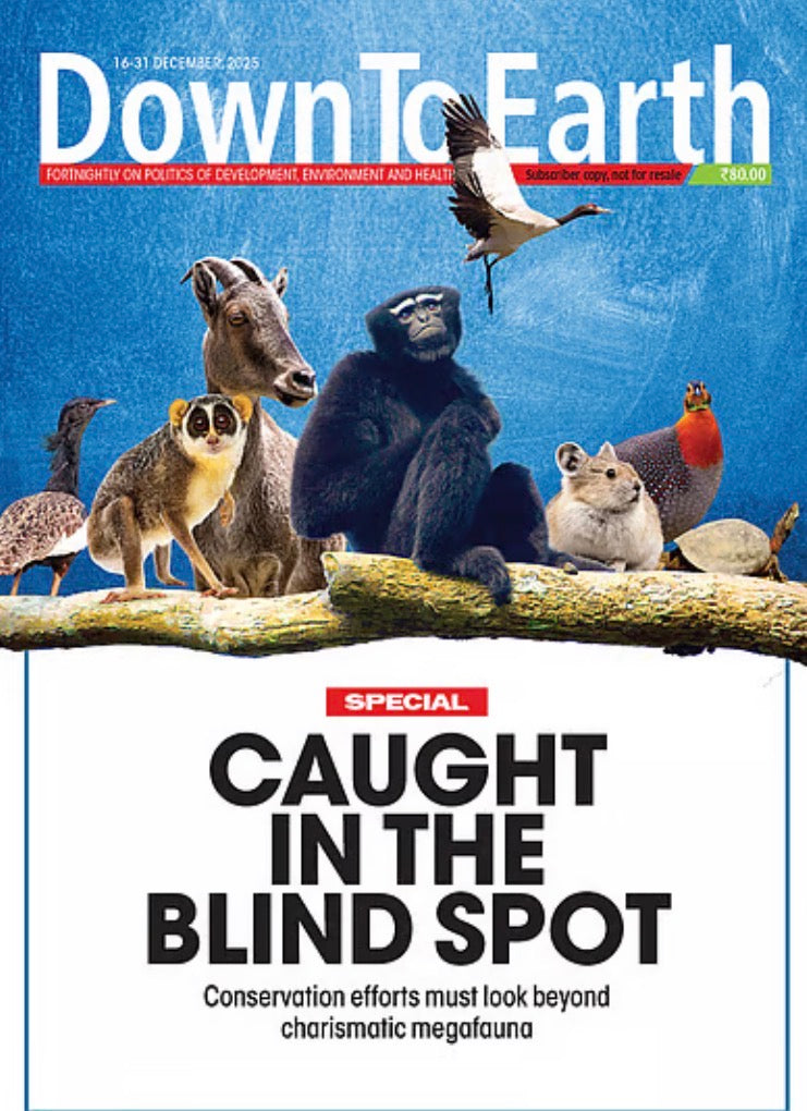 Cover of Down To Earth magazine featuring a collage of various animals on a tree branch under the headline "Caught in the Blind Spot".