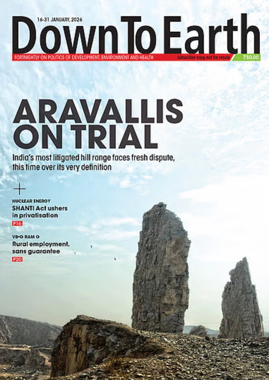 Magazine cover titled Down To Earth with a lead headline Aravallis On Trial over a photograph of massive, jagged rock pillars in a quarry under a hazy blue sky.